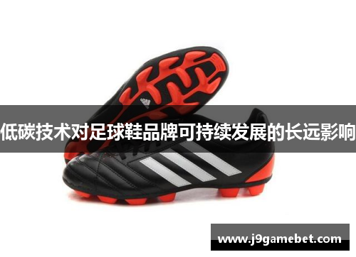 低碳技术对足球鞋品牌可持续发展的长远影响